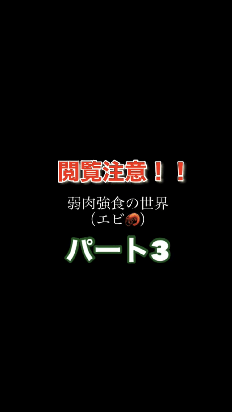 メダカ飼育 ヤマトヌマエビ ミナミヌマエビ脱走対策 あつぶろぶろぐ バス釣りとウォーキングに特化した雑記ブログ