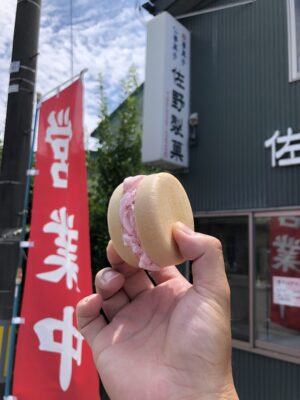 佐野製菓モナカアイス